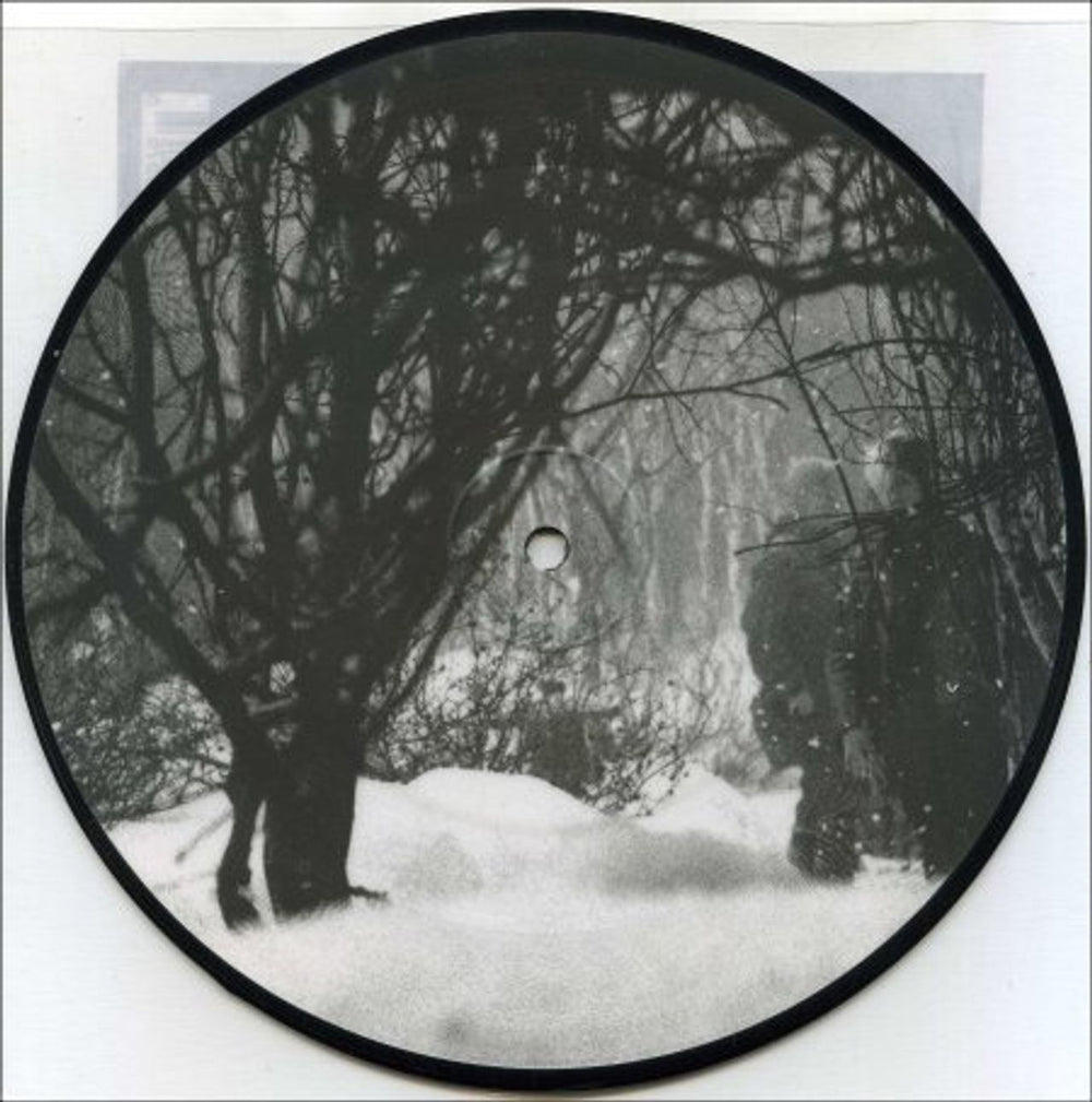 AFI Love Like Winter UK 7" vinyl picture disc (7 inch picture disc single) AFS7PLO379041