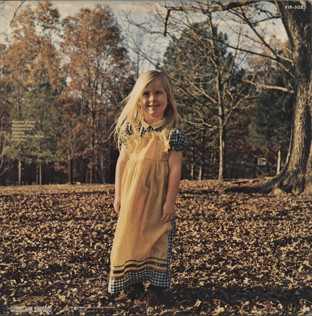 Allman Brothers Band Brothers And Sisters Japanese vinyl LP album (LP record)