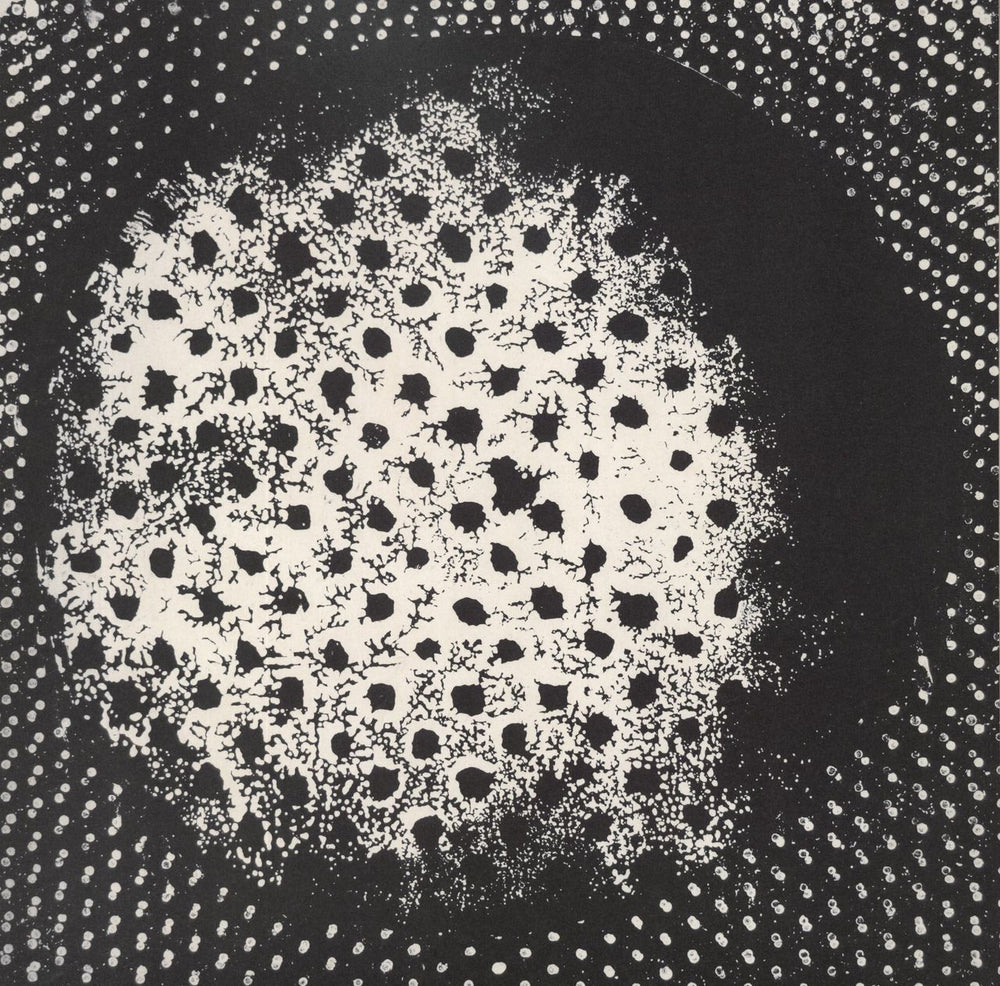 Biosphere Patashnik Norwegian 2-LP vinyl record set (Double LP Album) BIO4LP