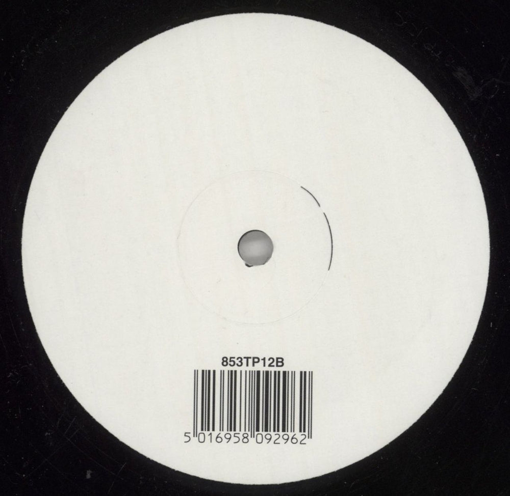 Björk Wanderlust - Pair UK Promo 12" vinyl single (12 inch record / Maxi-single) 5016958092962