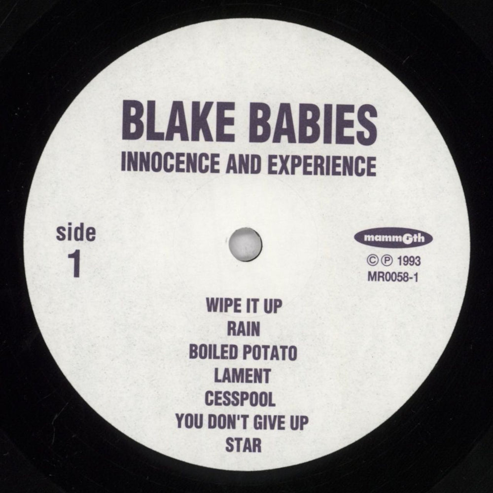 Blake Babies Innocence And Experience UK vinyl LP album (LP record) BLBLPIN835475