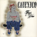 Calexico Feast Of Wire German vinyl LP album (LP record) 580470I