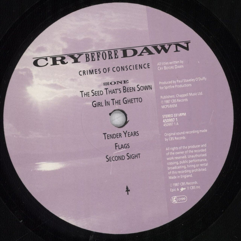 Cry Before Dawn Crimes Of Conscience UK vinyl LP album (LP record) CBDLPCR836793