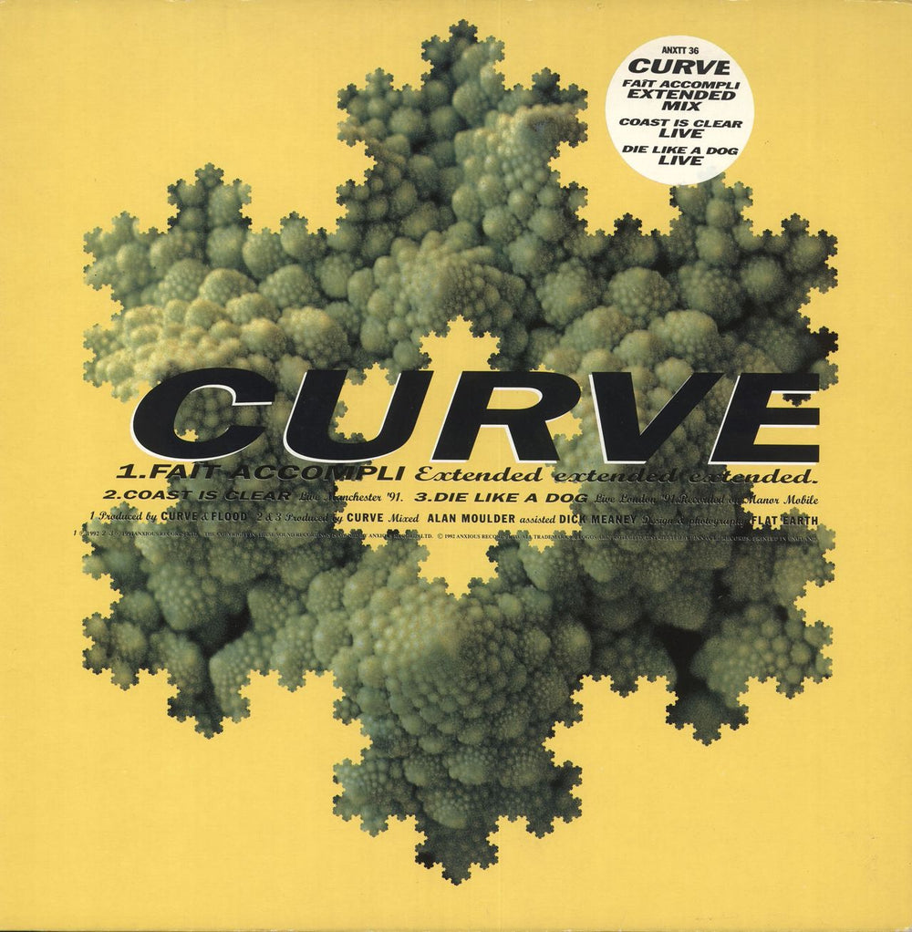 Curve Fait Accompli - Stickered sleeve UK 12" vinyl single (12 inch record / Maxi-single) ANXTT36