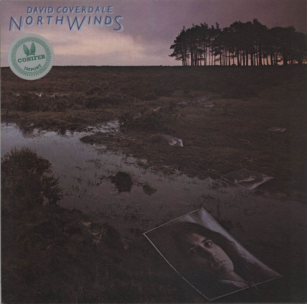David Coverdale North Winds - 1st German vinyl LP album (LP record) 1C064-60414