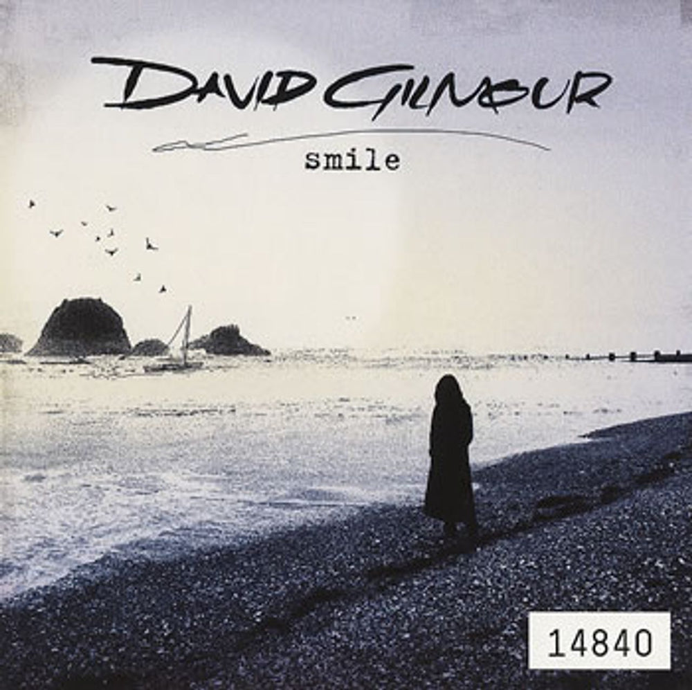 David Gilmour Smile - Numbered Tour Sticker & CD Wallet UK memorabilia STICKER & WALLET