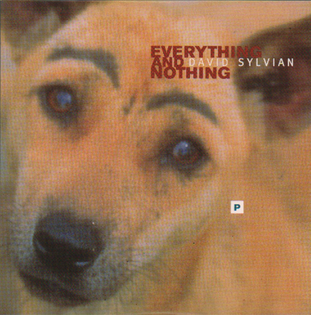 David Sylvian Everything And Nothing UK Promo CD single (CD5 / 5") CDVDJ2897