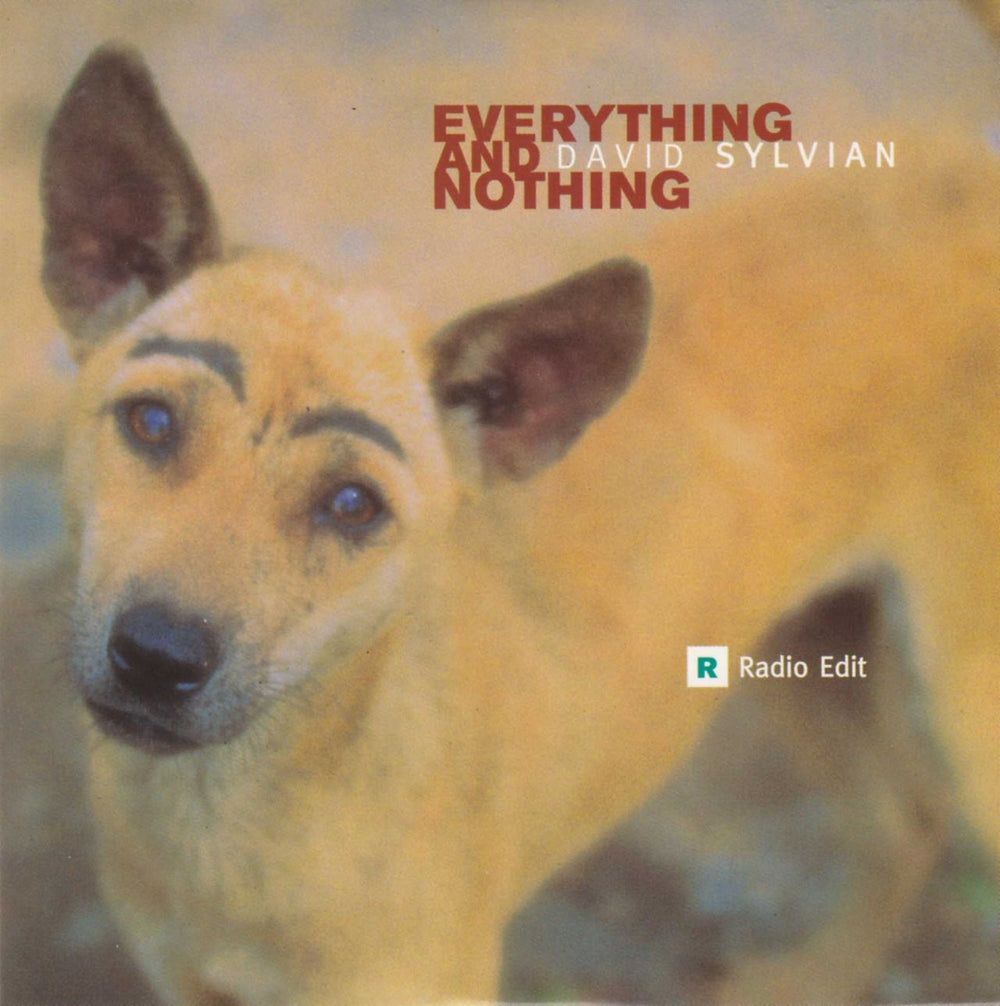 David Sylvian Everything & Nothing UK Promo CD single (CD5 / 5") VSCDJ1789