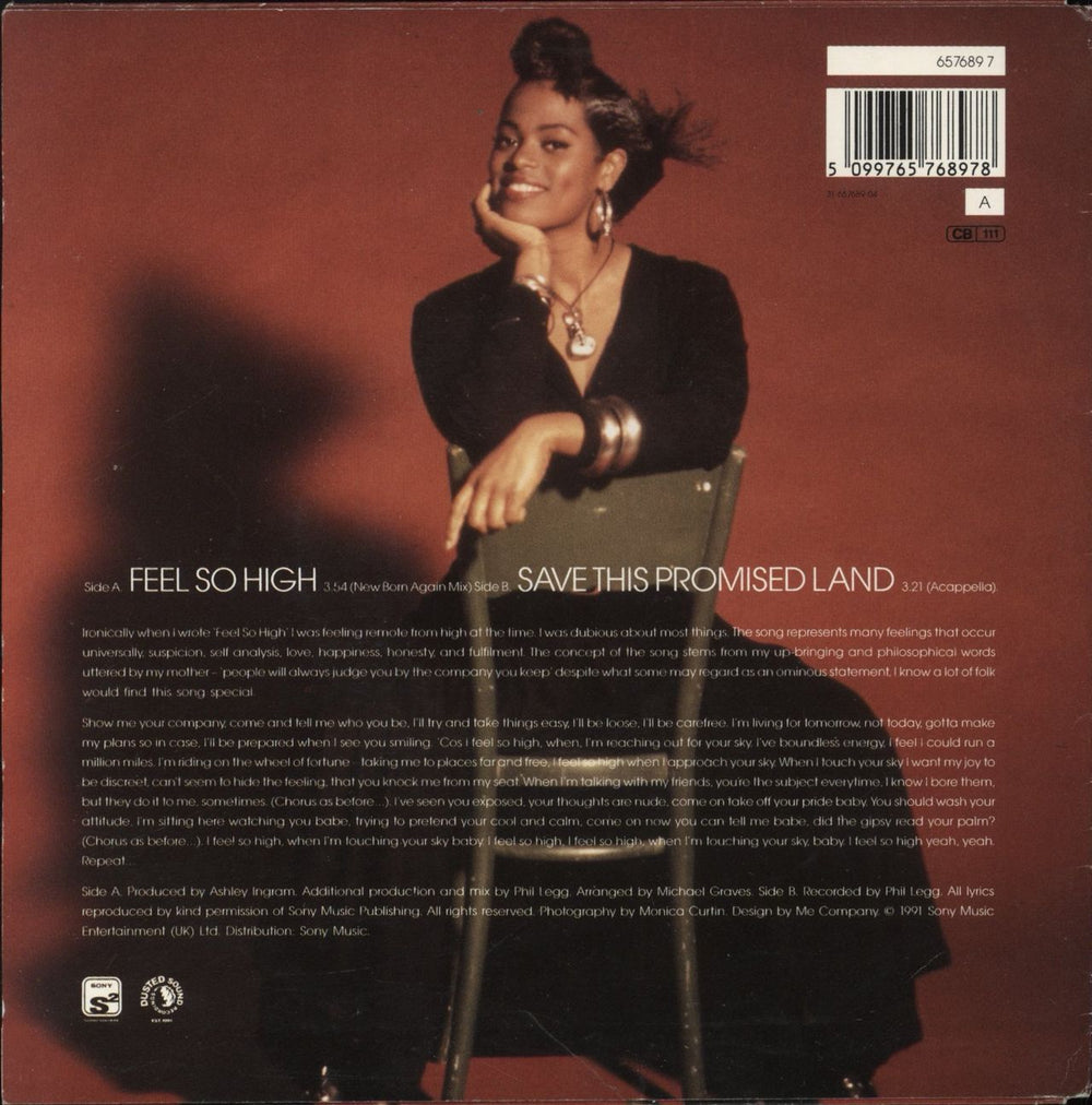 Des'ree Feel So High UK 7" vinyl single (7 inch record / 45) 5099765768978