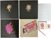 Eels The Deconstruction - Pink Vinyl + Boxset UK Vinyl Box Set EELVXTH837951