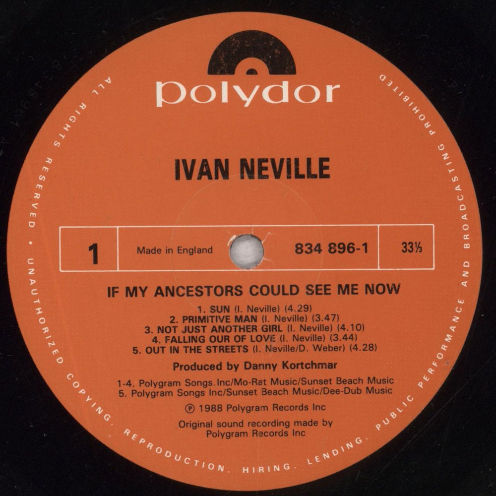 Ivan Neville If My Ancestors Could See Me Now UK vinyl LP album (LP record) IV4LPIF848434