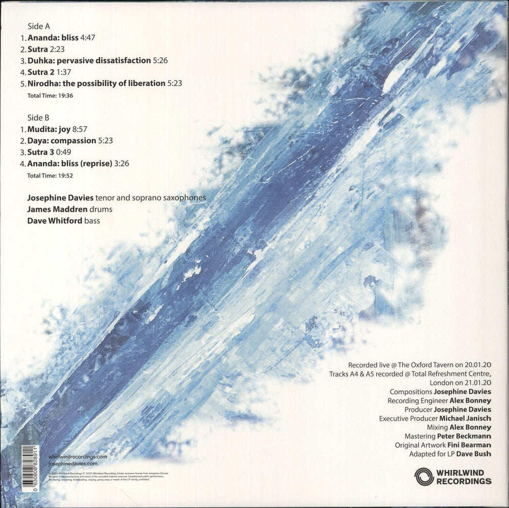 Josephine Davies Satori: How Can We Wake? UK vinyl LP album (LP record)