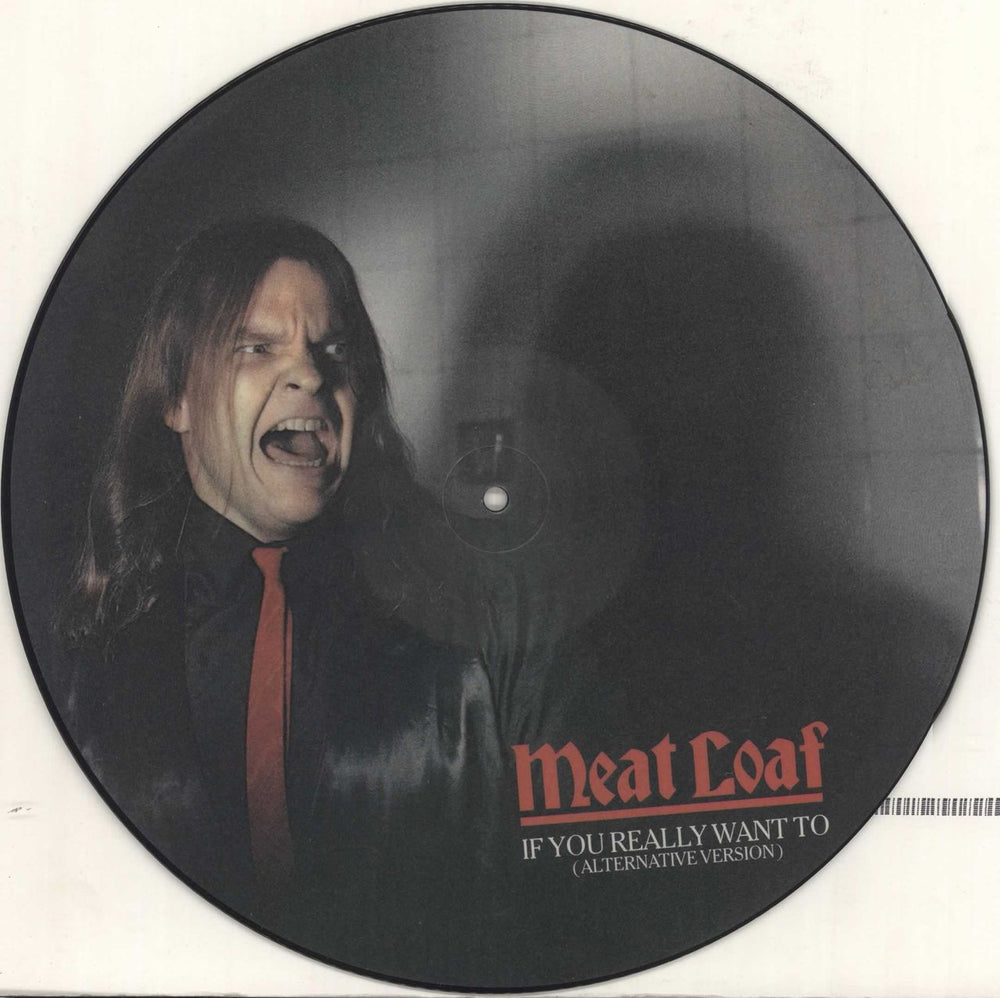 Meat Loaf If You Really Want To UK 12" vinyl picture disc (12 inch picture record) WA3357