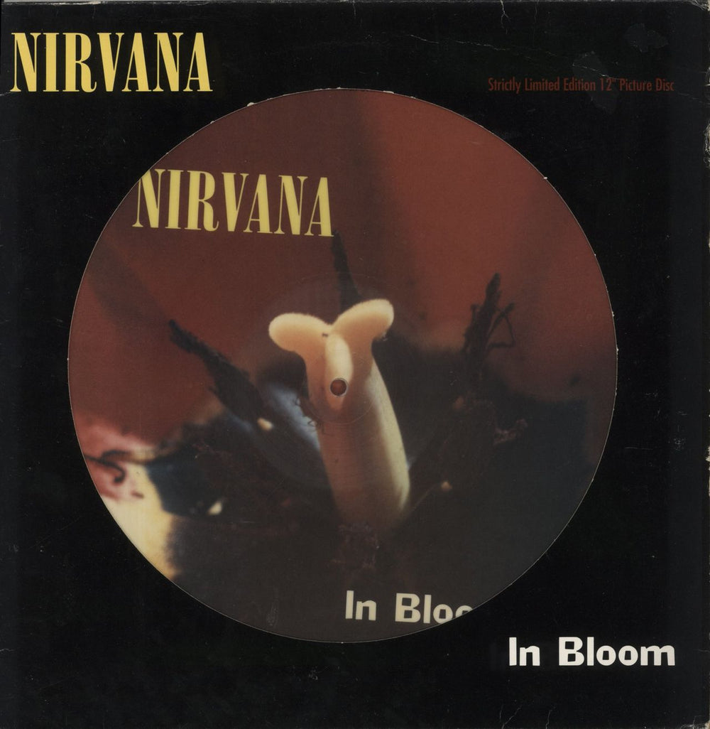 Nirvana (US) In Bloom - VG UK 12" vinyl picture disc (12 inch picture record) GFSTP34