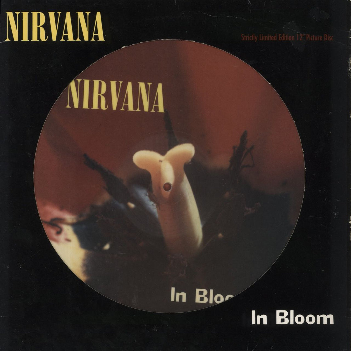 nirvana-us-in-bloom-vg-uk-12-