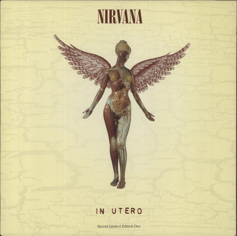 Nirvana (US) In Utero - Clear Vinyl US vinyl LP album (LP record) DGC-24607