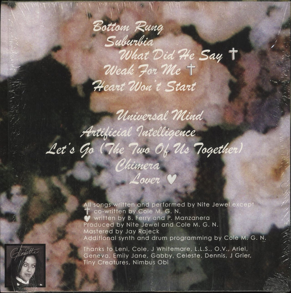 Nite Jewel Good Evening US vinyl LP album (LP record)