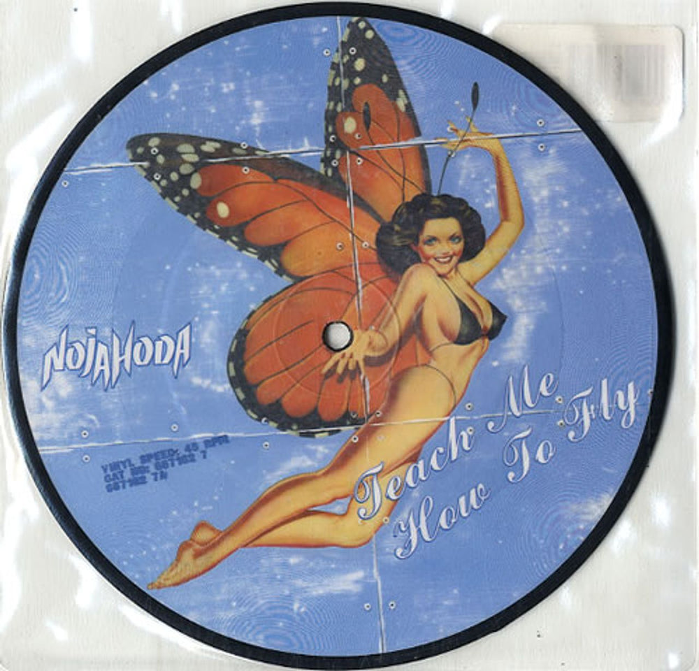 Nojahoda Teach Me How To Fly UK 7" vinyl picture disc (7 inch picture disc single) 6671627