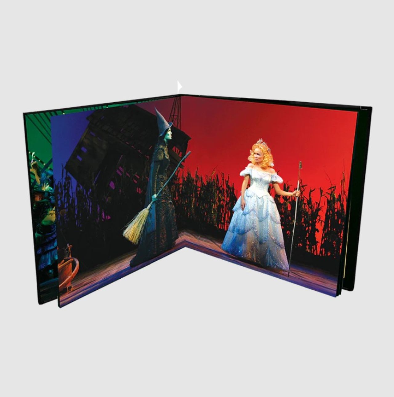 Original Cast Recording Wicked [Original Broadway Cast]: 20th Annivers —  RareVinyl.com