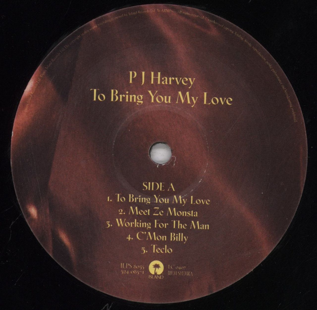 p-j-harvey-to-bring-you-my-
