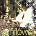 Paul Weller Sunflower US Promo CD single (CD5 / 5") CDP1219