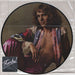 Peter Frampton I'm In You US Promo picture disc LP (vinyl picture disc album) SP-4704
