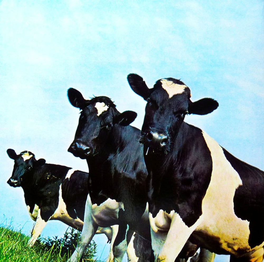 Pink Floyd Atom Heart Mother - Remastered 180 Gram - Sealed UK vinyl LP album (LP record) PINLPAT768697