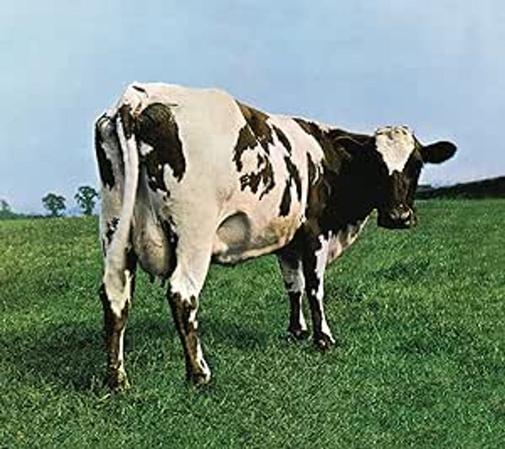 Pink Floyd Atom Heart Mother - Sealed UK CD album (CDLP) 88875170882