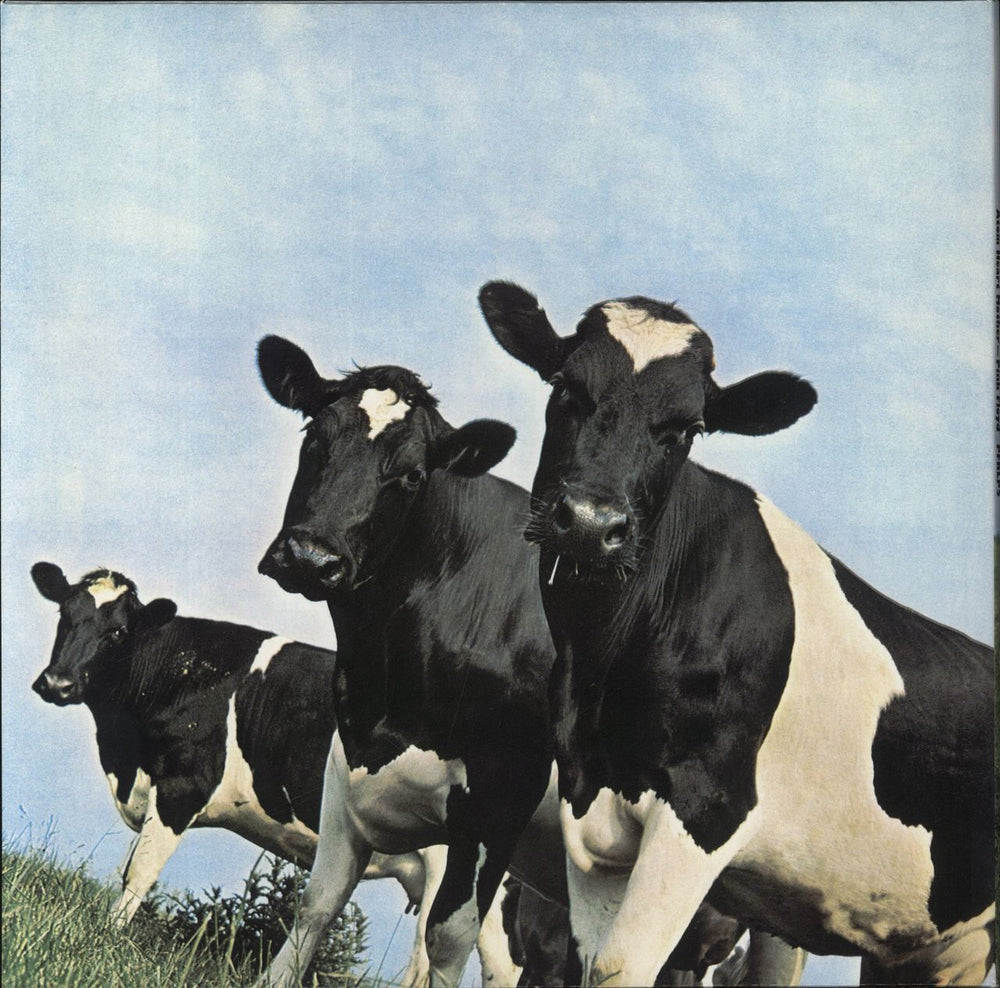 Pink Floyd Atom Heart MotherL Remastered - 180 Gram Vinyl UK vinyl LP album (LP record) 190295997083