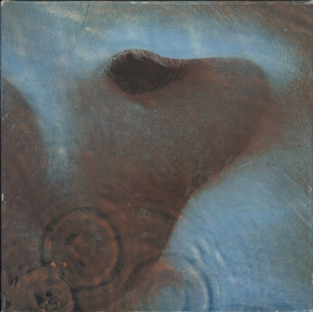 Pink Floyd Meddle Japanese CD album (CDLP) TOCP-65738