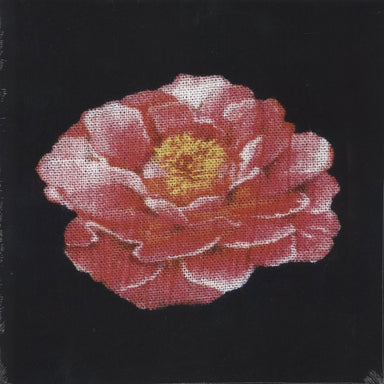 Post Malone Tribute To Nirvana - Yellow Vinyl - RSD 2025 - Sealed