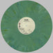 Rise Against Long Forgotten Songs: B Sides & Covers 2000-2013 - Green Marble Vinyl US 2-LP vinyl record set (Double LP Album) X1S2LLO833957
