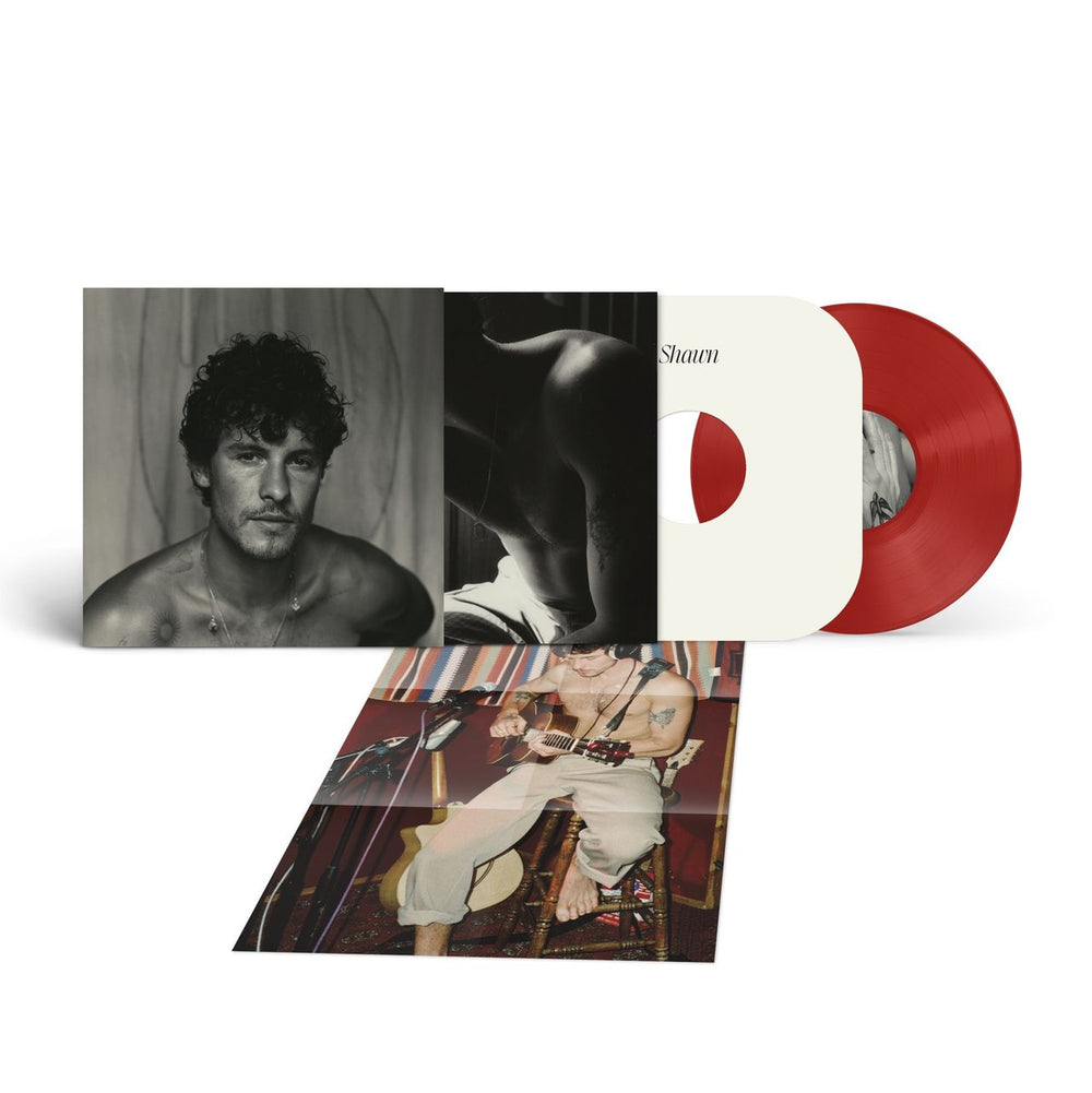 Shawn store Mendes vinyl