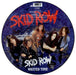 Skid Row (80s) Wasted Time UK 12" vinyl picture disc (12 inch picture record) SRO2PWA585172