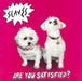 Slaves (UK Band) Are You Satisfied? UK vinyl LP album (LP record) 4725461