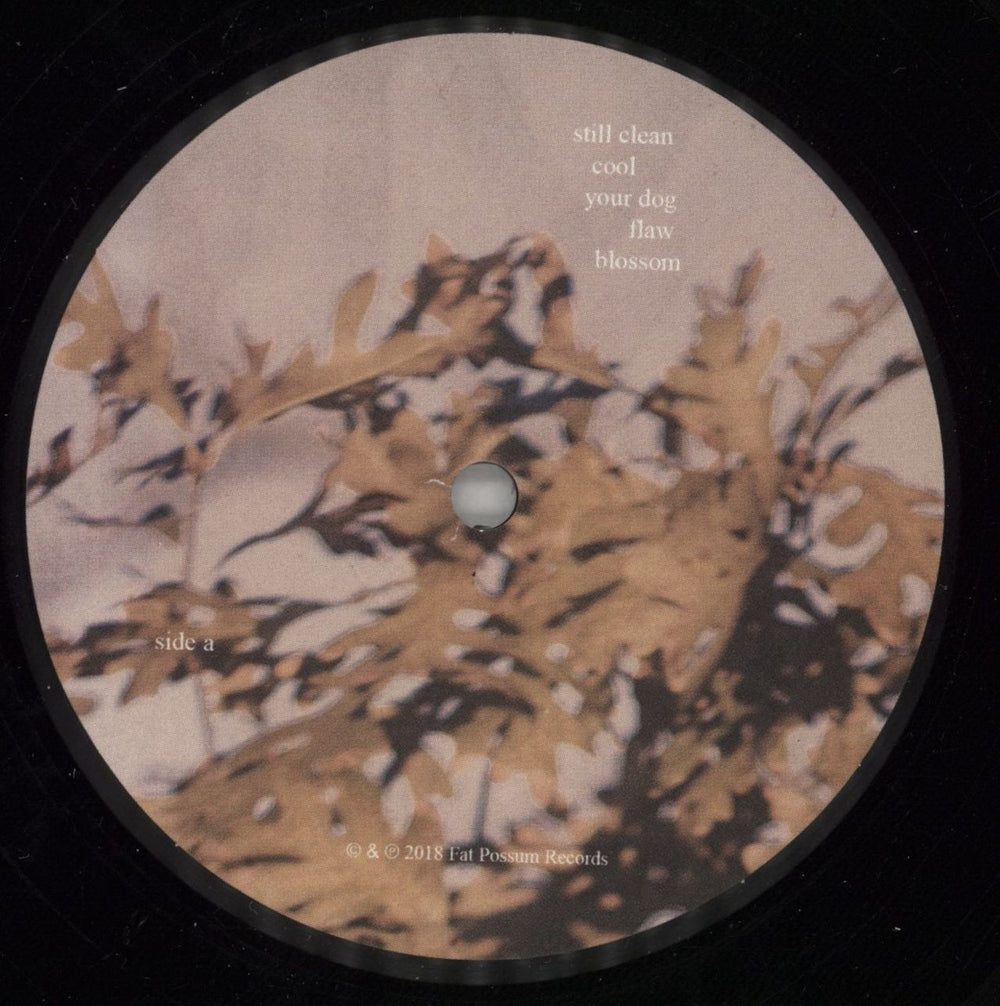 Soccer Mommy Clean US vinyl LP album (LP record) 6RJLPCL865248