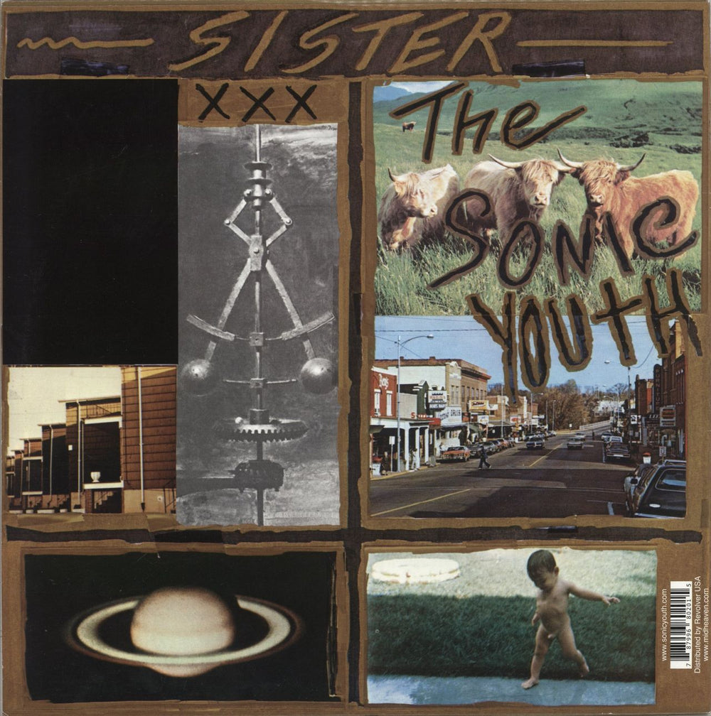 Sonic Youth Sister US vinyl LP album (LP record) 787996802015