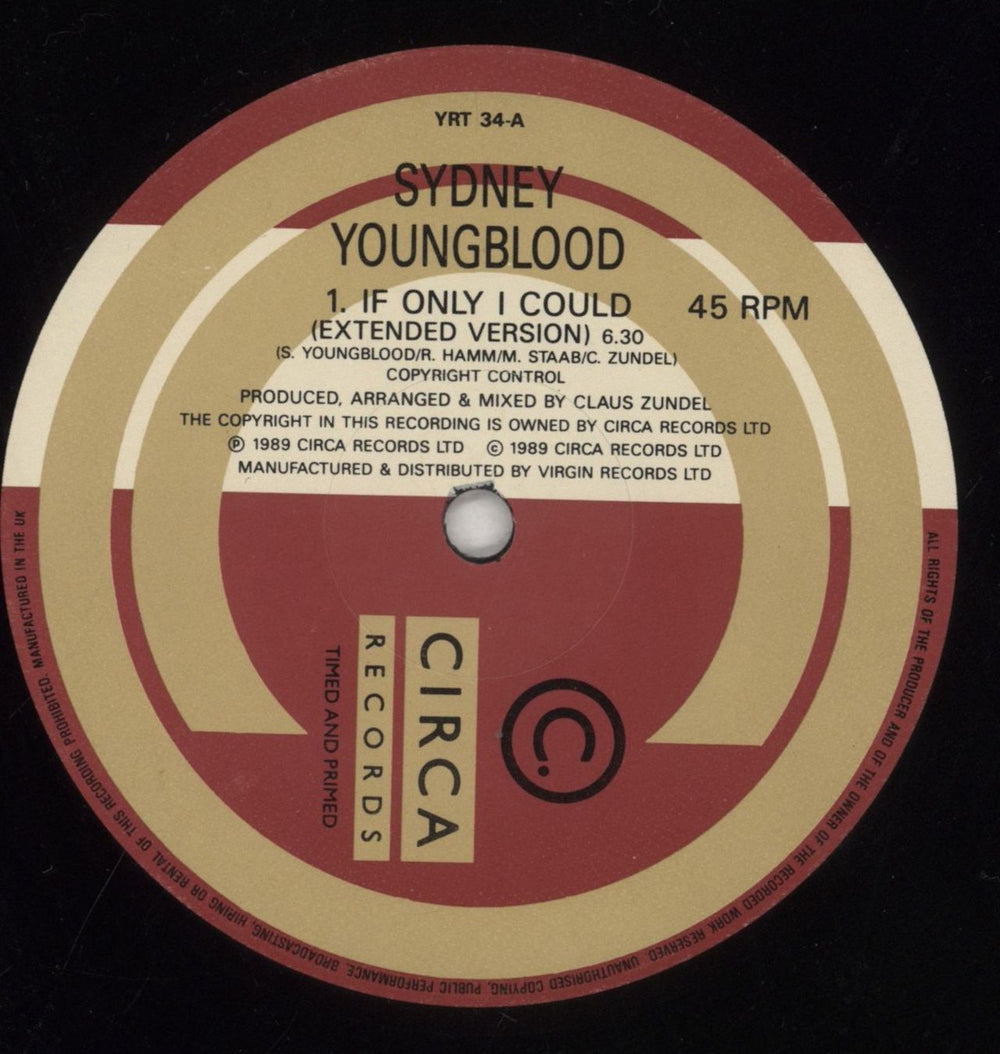 Sydney Youngblood If Only I Could UK 12" vinyl single (12 inch record / Maxi-single) SYG12IF115655