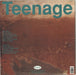 Teenage Fanclub A Catholic Education - EX UK vinyl LP album (LP record) TFCLPAC659361