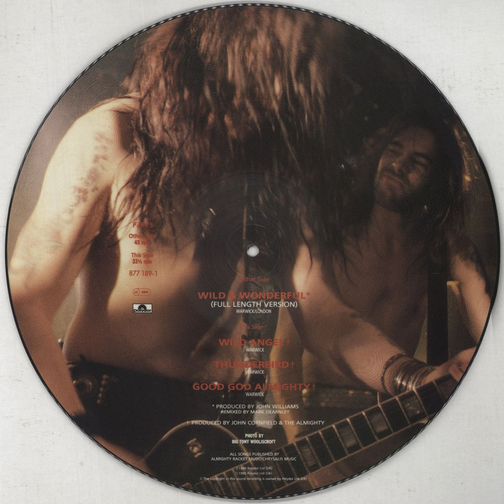 The Almighty Wild & Wonderful UK 12" vinyl picture disc (12 inch picture record)