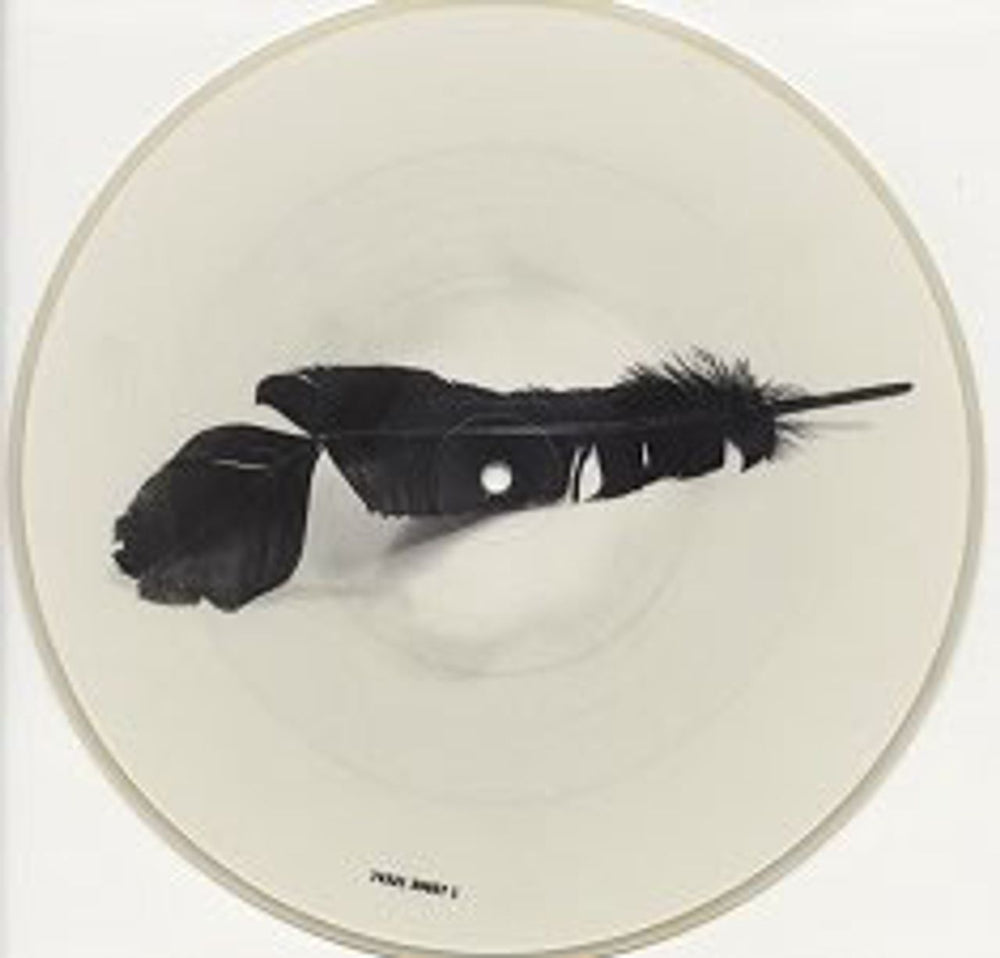 The Black Crowes One Mirror Too Many UK 10" Vinyl Picture Disc (10 inch Record Single) 74321398571