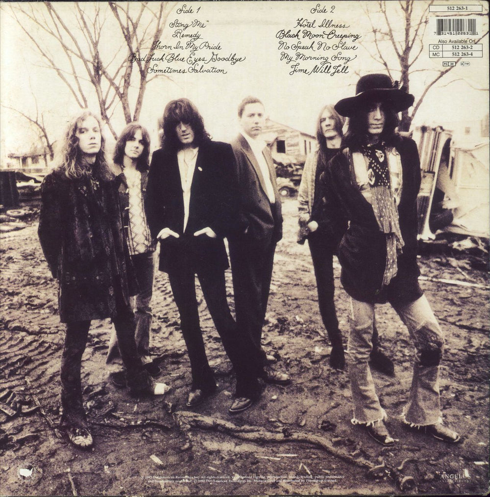 The Black Crowes The Southern Harmony And Musical Companion - EX Dutch vinyl LP album (LP record) 731451226311