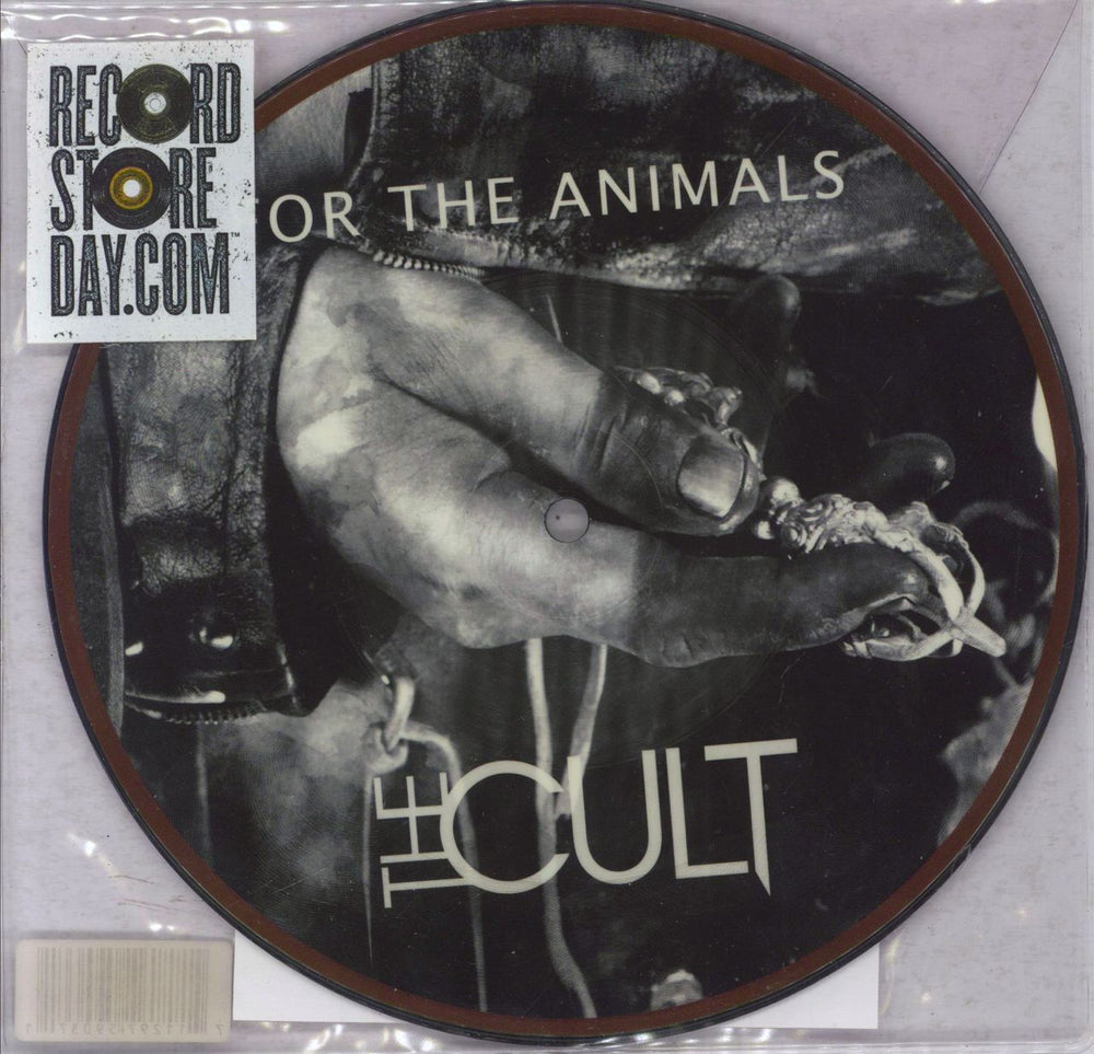 The Cult For The Animals - RSD12 - EX US 7" vinyl picture disc (7 inch picture disc single) COOK548-P