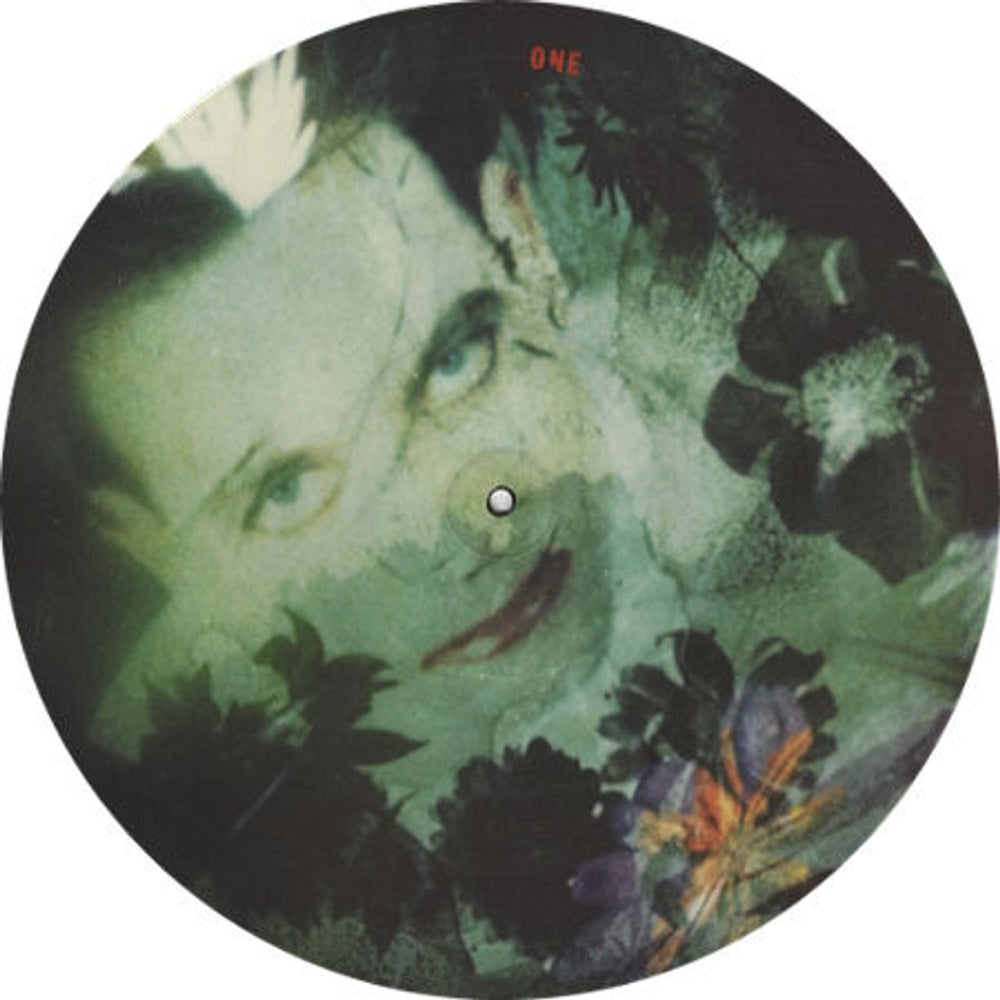 The Cure Disintegration - EX UK picture disc LP (vinyl picture disc album) CURPDDI430654