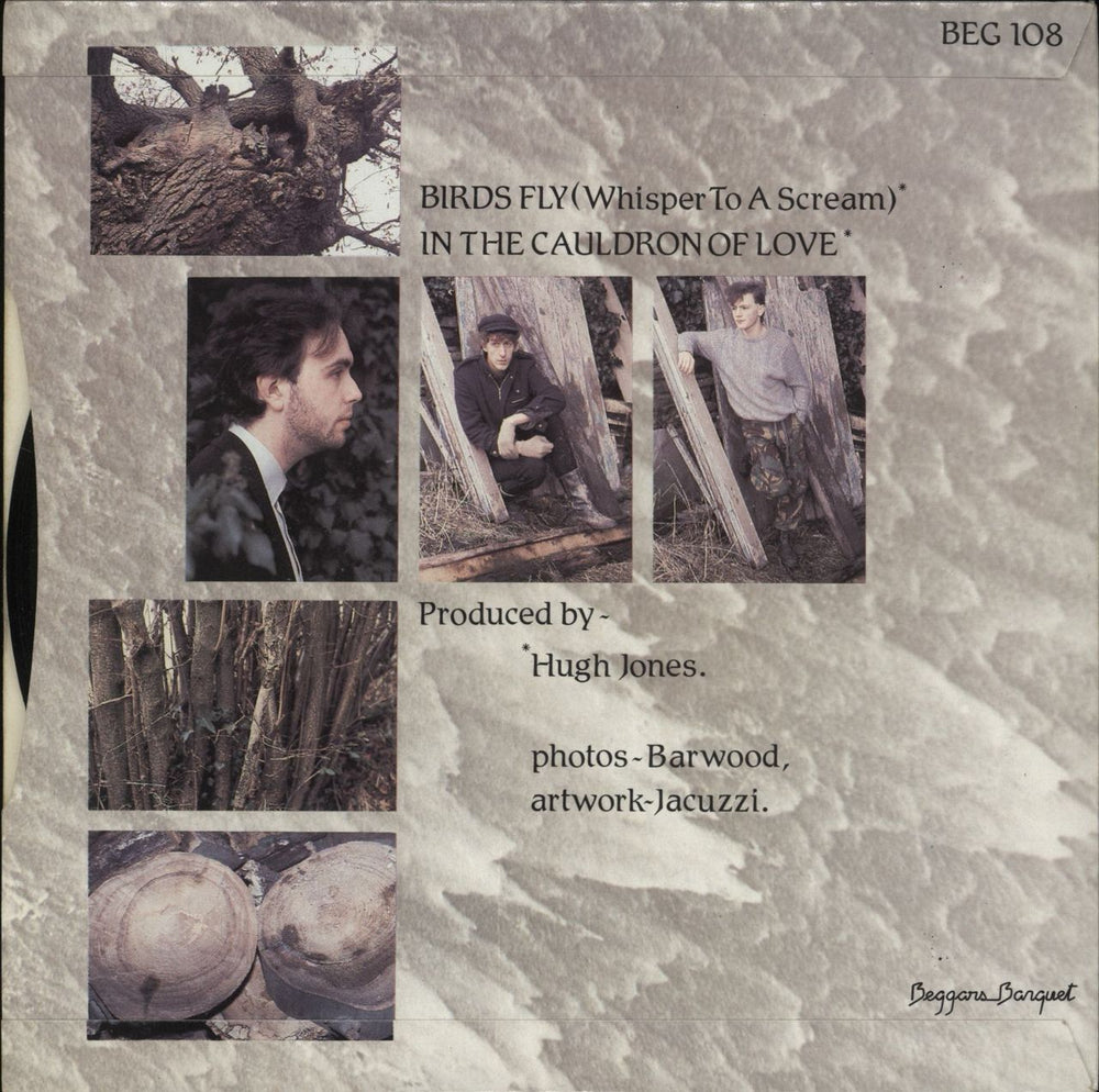 The Icicle Works Birds Fly UK 7" vinyl single (7 inch record / 45)