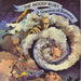 The Moody Blues A Question Of Balance - 2nd UK vinyl LP album (LP record) THS3