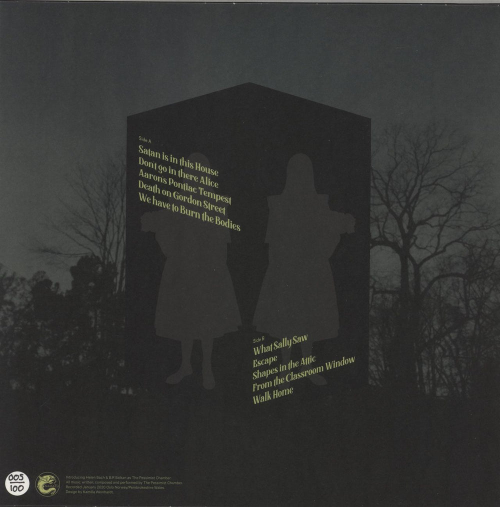 The Pessimist Chamber What Sally Saw Dutch vinyl LP album (LP record)