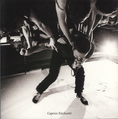 Audiophile Vinyl & CDs - Listening Room & Vinyl Room Quality »