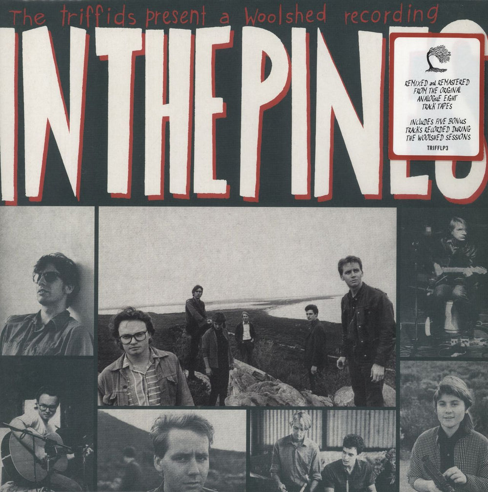 The Triffids (80s) In The Pines - Red Vinyl UK 2-LP vinyl record set (Double LP Album) TRIFFLP3