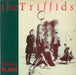 The Triffids (80s) Treeless Plain UK vinyl LP album (LP record) HOT1003